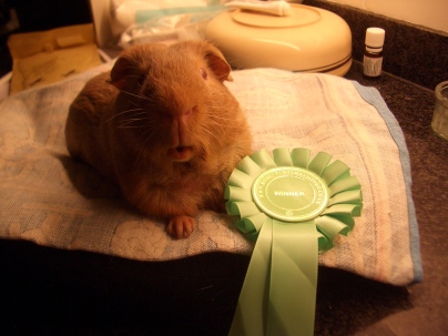 George with his rosette